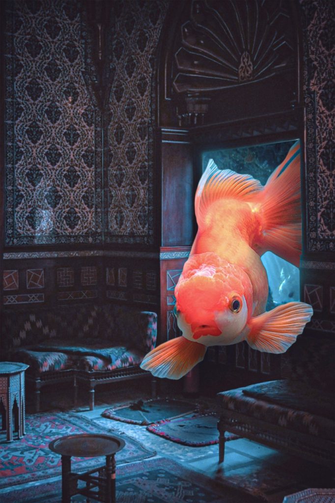 photoshop, manipulation, fantasy